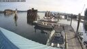 ./images/quadra/hbidock/20250809/hbidock20250809_084010M.jpg