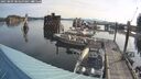 ./images/quadra/hbidock/20250809/hbidock20250809_084500M.jpg
