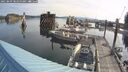 ./images/quadra/hbidock/20250809/hbidock20250809_085000M.jpg