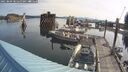 ./images/quadra/hbidock/20250809/hbidock20250809_085500M.jpg