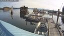 ./images/quadra/hbidock/20250809/hbidock20250809_085510M.jpg