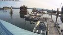 ./images/quadra/hbidock/20250809/hbidock20250809_090500M.jpg