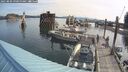 ./images/quadra/hbidock/20250809/hbidock20250809_091000M.jpg