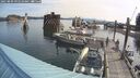 ./images/quadra/hbidock/20250809/hbidock20250809_091010M.jpg