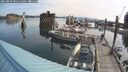 ./images/quadra/hbidock/20250809/hbidock20250809_091512M.jpg