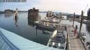 ./images/quadra/hbidock/20250809/hbidock20250809_092012M.jpg