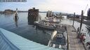 ./images/quadra/hbidock/20250809/hbidock20250809_092511M.jpg