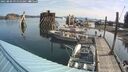 ./images/quadra/hbidock/20250809/hbidock20250809_095010M.jpg