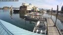 ./images/quadra/hbidock/20250809/hbidock20250809_100012M.jpg