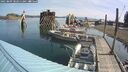 ./images/quadra/hbidock/20250809/hbidock20250809_102511M.jpg