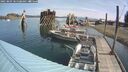 ./images/quadra/hbidock/20250809/hbidock20250809_105508M.jpg
