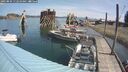 ./images/quadra/hbidock/20250809/hbidock20250809_112010M.jpg