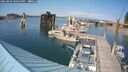 ./images/quadra/hbidock/20250809/hbidock20250809_160511M.jpg