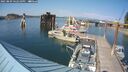 ./images/quadra/hbidock/20250809/hbidock20250809_162510M.jpg