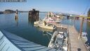 ./images/quadra/hbidock/20250809/hbidock20250809_165000M.jpg
