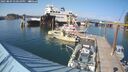./images/quadra/hbidock/20250809/hbidock20250809_170010M.jpg