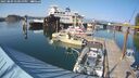./images/quadra/hbidock/20250809/hbidock20250809_171000M.jpg