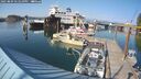./images/quadra/hbidock/20250809/hbidock20250809_171010M.jpg