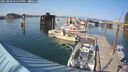 ./images/quadra/hbidock/20250809/hbidock20250809_171500M.jpg