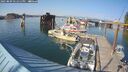 ./images/quadra/hbidock/20250809/hbidock20250809_171511M.jpg