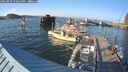 ./images/quadra/hbidock/20250809/hbidock20250809_190010M.jpg