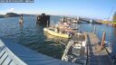 ./images/quadra/hbidock/20250809/hbidock20250809_190500M.jpg