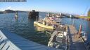 ./images/quadra/hbidock/20250809/hbidock20250809_191010M.jpg