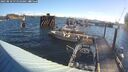 ./images/quadra/hbidock/20250810/hbidock20250810_075010M.jpg
