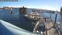 ./images/quadra/hbidock/20250810/hbidock20250810_075509M.jpg