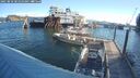 ./images/quadra/hbidock/20250810/hbidock20250810_081010M.jpg