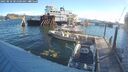 ./images/quadra/hbidock/20250810/hbidock20250810_081500M.jpg
