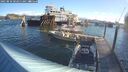 ./images/quadra/hbidock/20250810/hbidock20250810_082011M.jpg