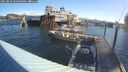 ./images/quadra/hbidock/20250810/hbidock20250810_082500M.jpg