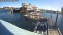 ./images/quadra/hbidock/20250810/hbidock20250810_083000M.jpg