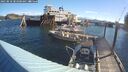 ./images/quadra/hbidock/20250810/hbidock20250810_083500M.jpg