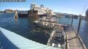 ./images/quadra/hbidock/20250810/hbidock20250810_084000M.jpg