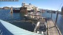 ./images/quadra/hbidock/20250810/hbidock20250810_084511M.jpg