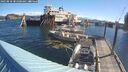 ./images/quadra/hbidock/20250810/hbidock20250810_085000M.jpg