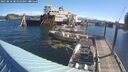 ./images/quadra/hbidock/20250810/hbidock20250810_085009M.jpg