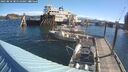 ./images/quadra/hbidock/20250810/hbidock20250810_085510M.jpg