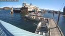 ./images/quadra/hbidock/20250810/hbidock20250810_090508M.jpg