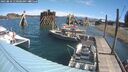 ./images/quadra/hbidock/20250810/hbidock20250810_110500M.jpg