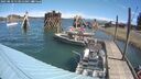 ./images/quadra/hbidock/20250810/hbidock20250810_113012M.jpg