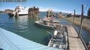 ./images/quadra/hbidock/20250810/hbidock20250810_114000M.jpg