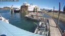 ./images/quadra/hbidock/20250810/hbidock20250810_120012M.jpg