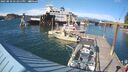./images/quadra/hbidock/20250810/hbidock20250810_171011M.jpg