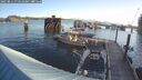 ./images/quadra/hbidock/20250811/hbidock20250811_074510M.jpg