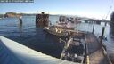 ./images/quadra/hbidock/20250811/hbidock20250811_075009M.jpg