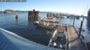 ./images/quadra/hbidock/20250811/hbidock20250811_080000M.jpg