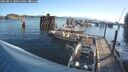 ./images/quadra/hbidock/20250811/hbidock20250811_080012M.jpg